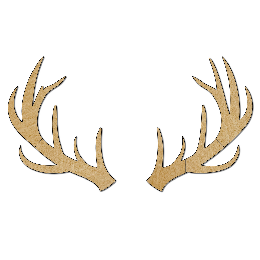 Les bois de cerf