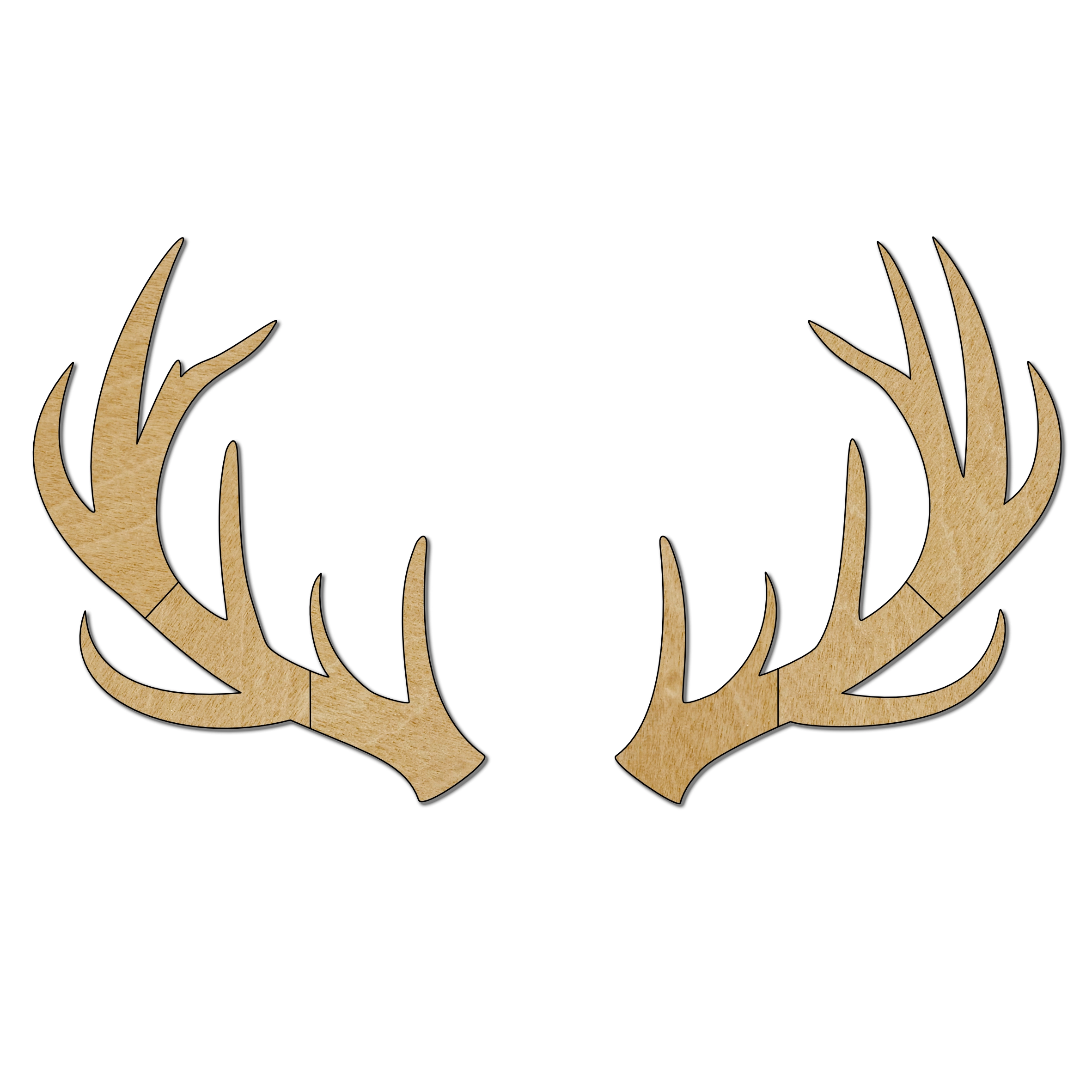 Les bois de cerf