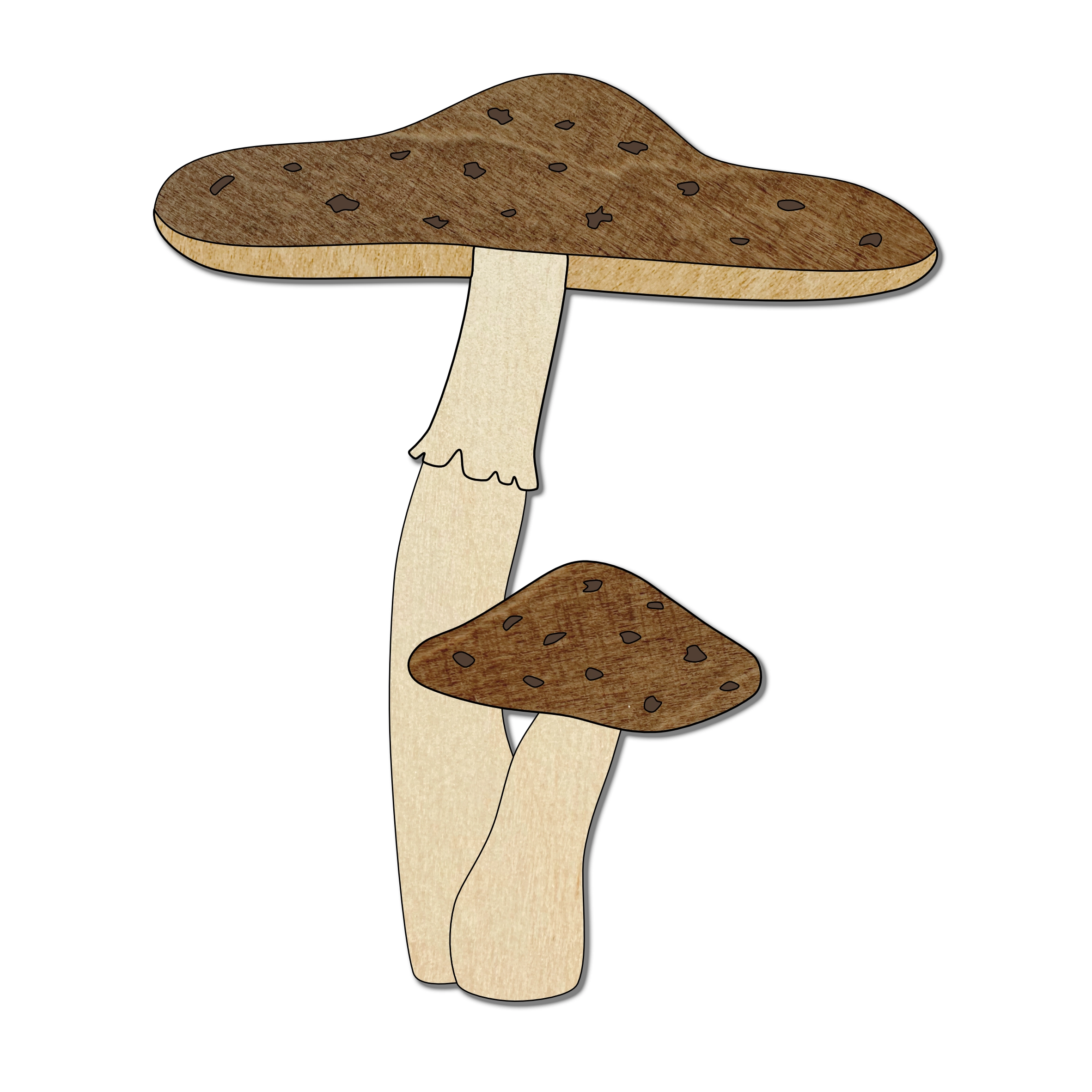 Le champignon