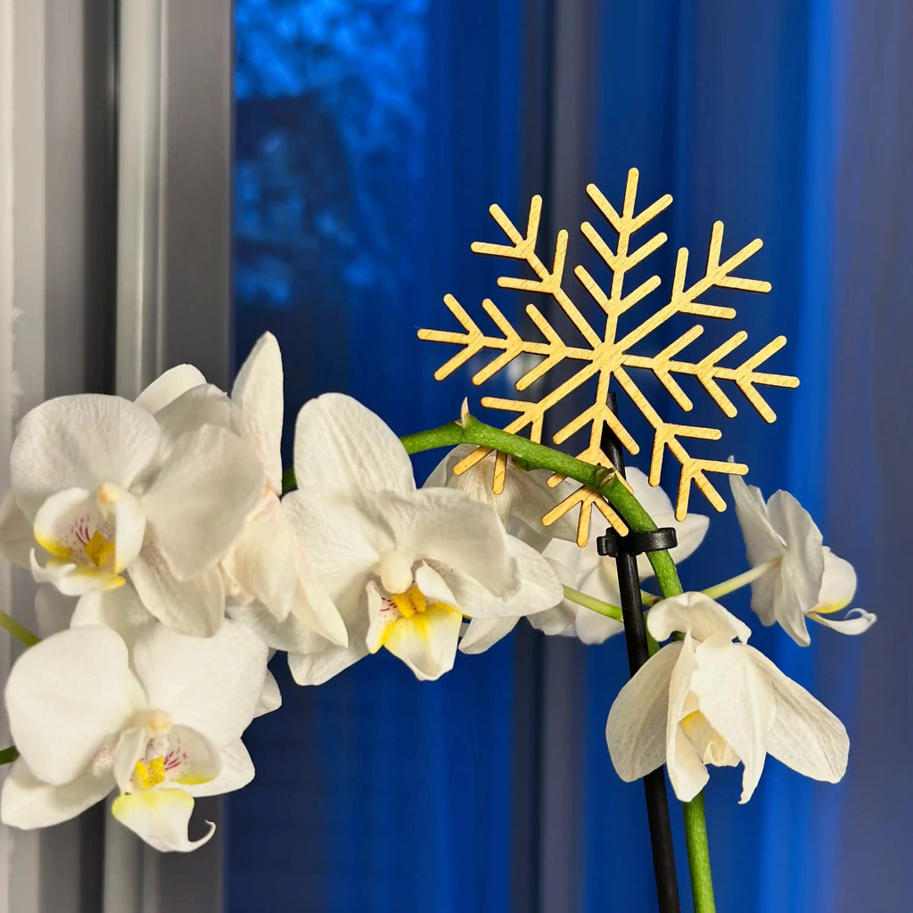 Les décorations de Noël