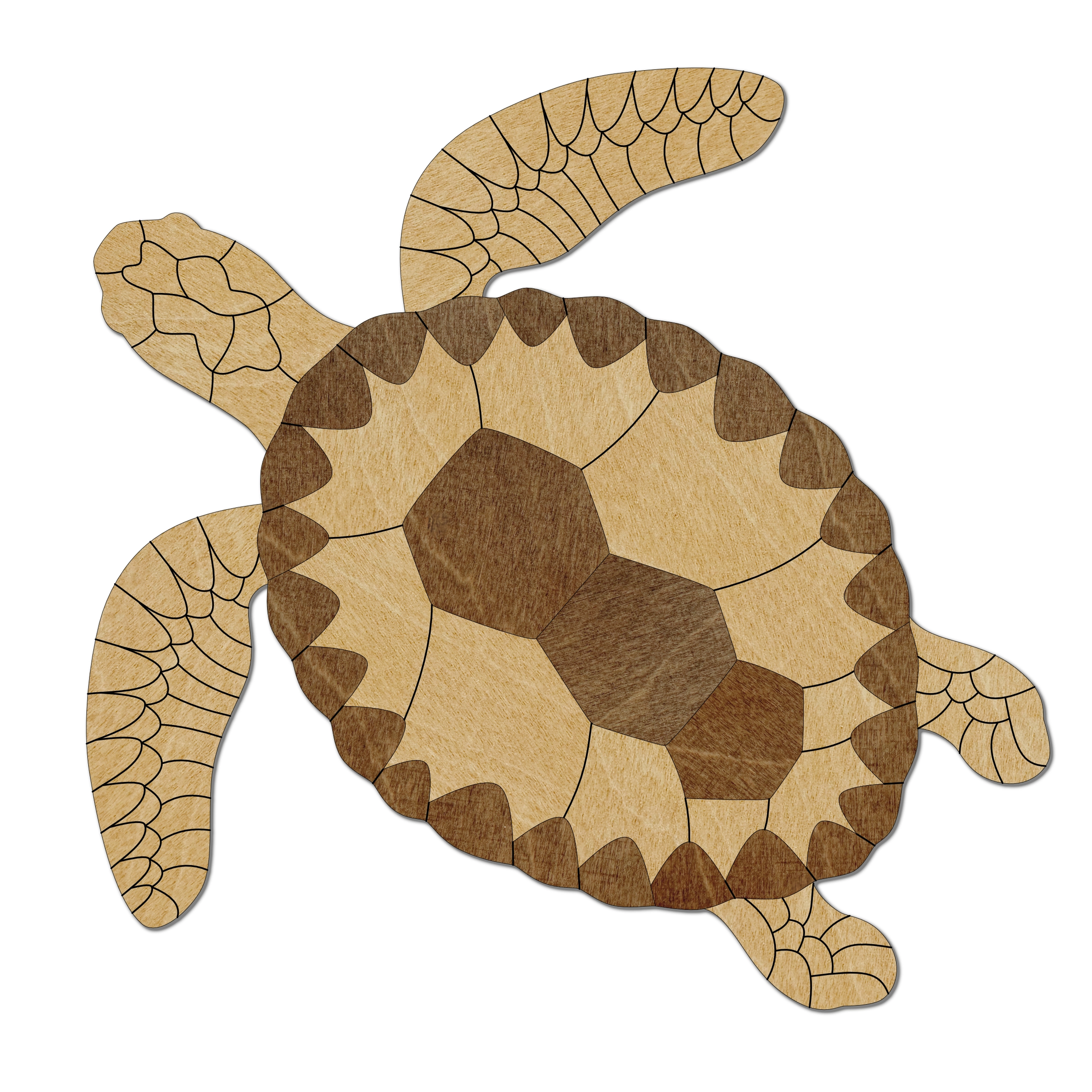 La tortue marine